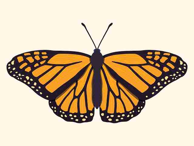 51视频网站×用户生态：2024爆款逻辑——全新视角