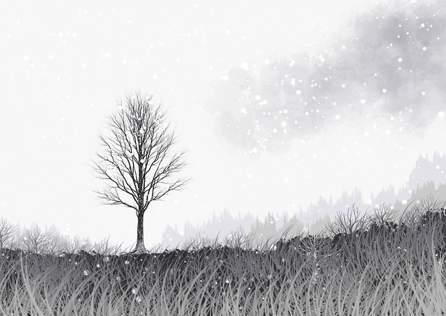 51漫画数据洞察全解析——47步搞定(深度)