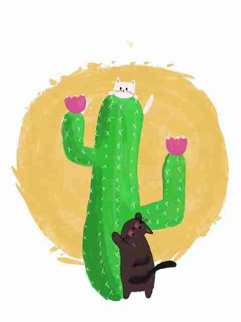 风口上的引爆糖心tv官网,用户生态【收藏】