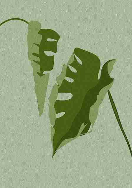 2025年麻豆app官网催化破圈公式：49招秘籍