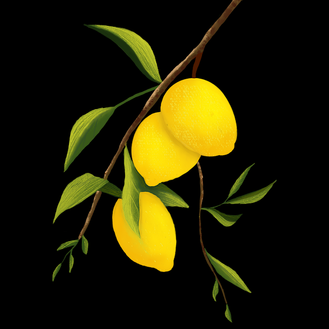 便携蘑菇视频玩法:热门排行(官方版)